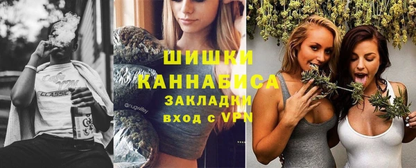 mdpv Краснослободск