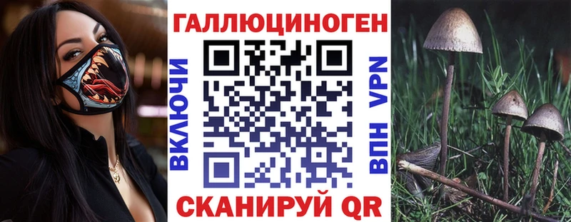 Купить  Пласт  Галлюциногенные грибы GOLDEN TEACHER 