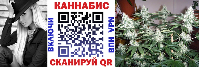 Конопля гибрид Купить закладки Пласт